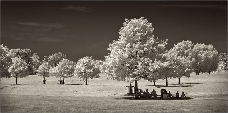 Heveningham Hall Picnic.jpg - 02 - Open